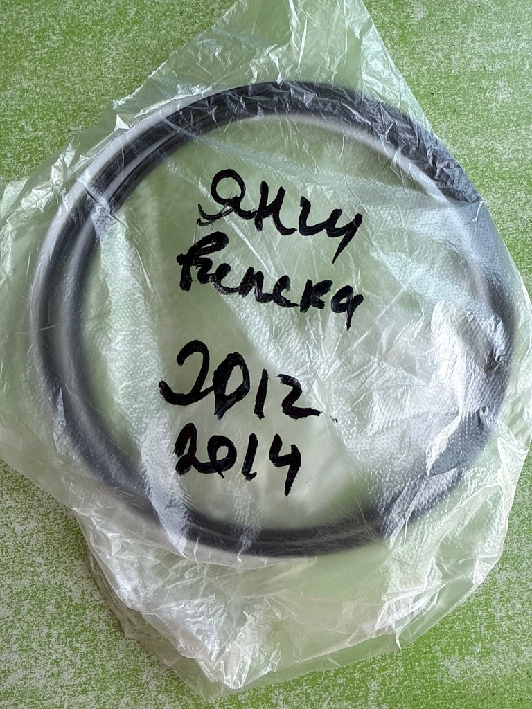 [2000000027838] SALNIK TORMOZ SEAL KIT HUB (2012-2016) R555W-7