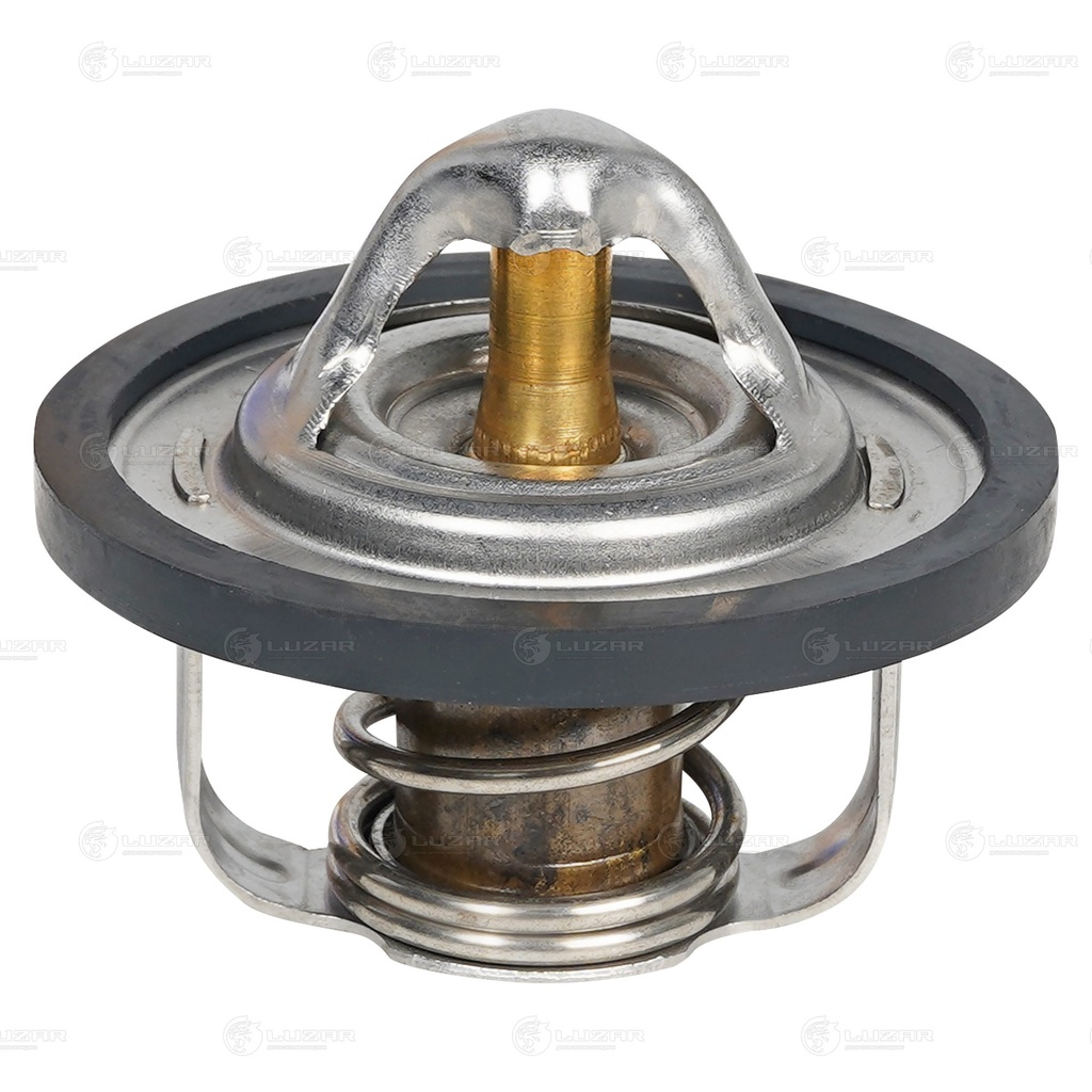 [96143939] NEKSIYA TERMOSTAT KOREA (GM)